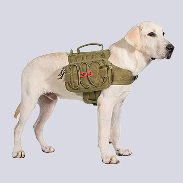 A dog wearing a tactical backpack with MOLLE system, designed for carrying gear during outdoor adventures.